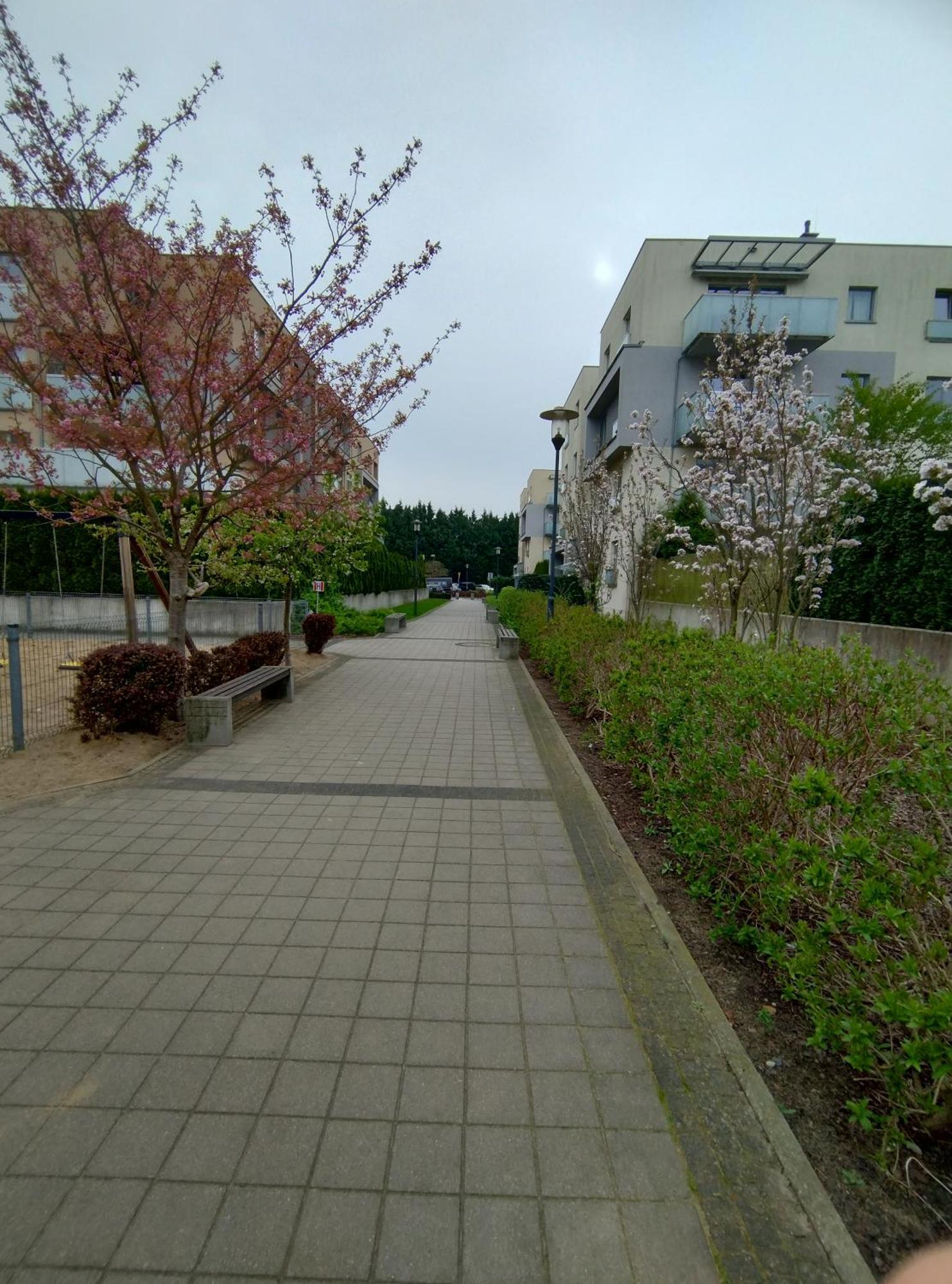 Apartament 1E Barbakan Estetino Exterior foto